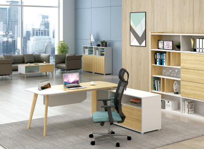 Tisch & Aktenschrank Büroeinrichtung 2tlg. Chef Regal Set Schreibtisch